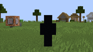 A player-shaped mob with pitch-black skin looking directly at the camera.